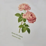 impression t-shirt rose marseille